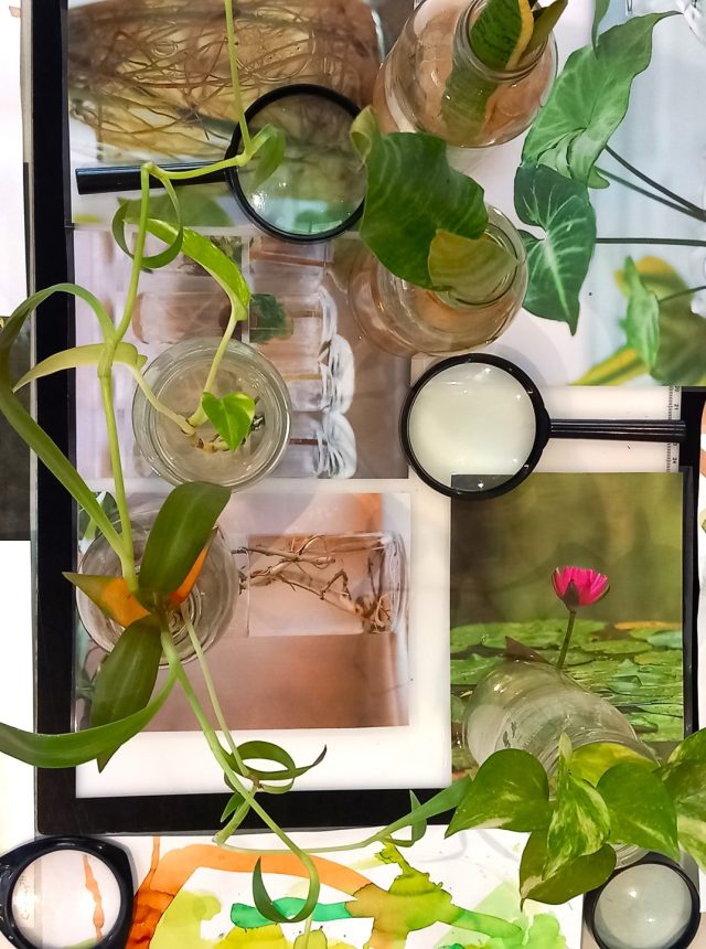 hydroponic